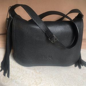 🌺🌺Coach Dakotah Whiplash🌺🌺